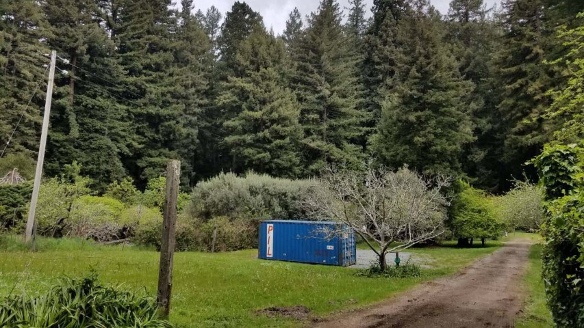 forrest container shipping container by pine trees storage container in green fields blue color conex container